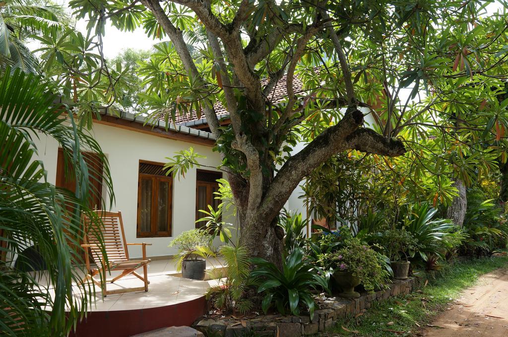 Tandem Guesthouse Hikkaduwa Dış mekan fotoğraf