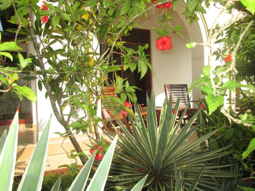 Tandem Guesthouse Hikkaduwa Dış mekan fotoğraf