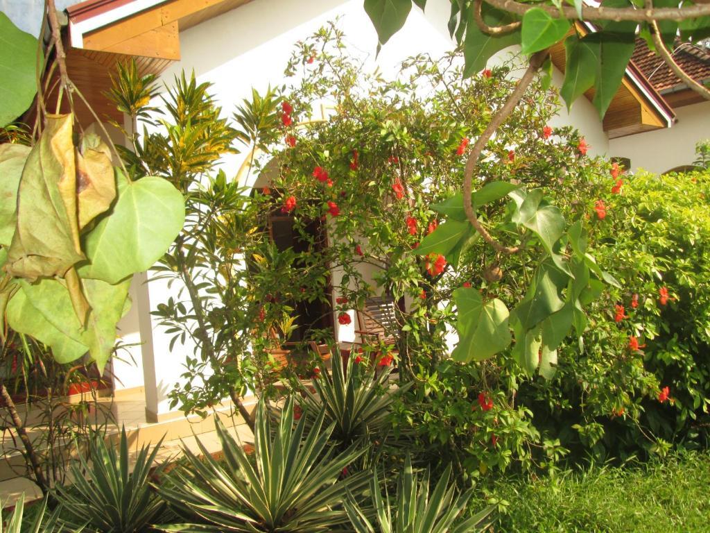 Tandem Guesthouse Hikkaduwa Dış mekan fotoğraf
